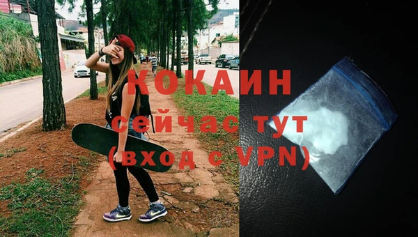 apvp Вяземский