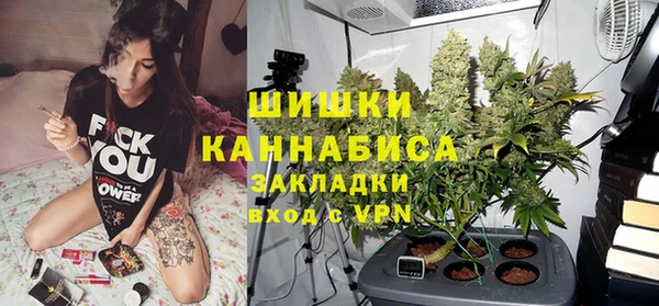 apvp Вяземский