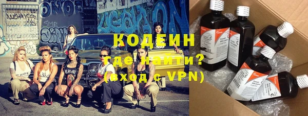 apvp Вяземский