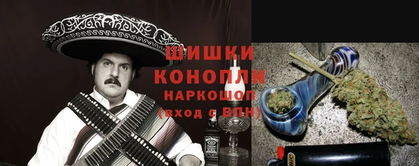 apvp Вяземский