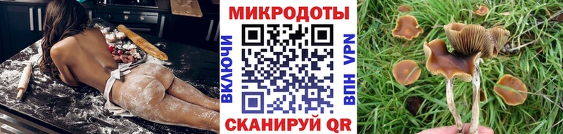 Галлюциногенные грибы Cubensis  Джанкой 